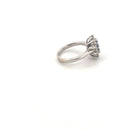 18kt White Gold Tanzanite & Diamond Cluster Ring