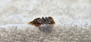 Diamond Cluster Ring 18kt