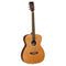 Tanglewood TW1 (Grade C)