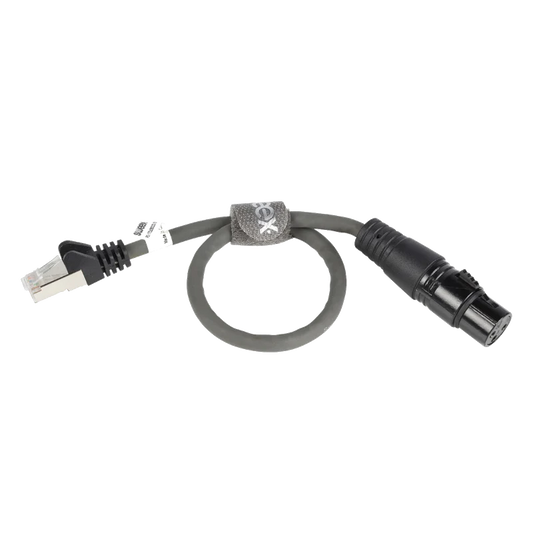 XLR Digital Cable XLR 3-Pin Female - RJ45 Plug 0.30 m Dark Grey